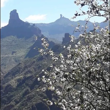 Prázdninový dům Silence's Cave Rural House Artenara